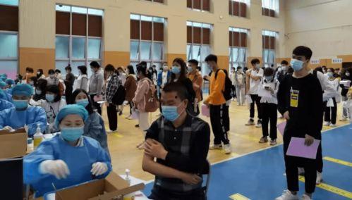 杨展最新爆料消息新闻,揭秘娱乐圈惊人内幕  第3张